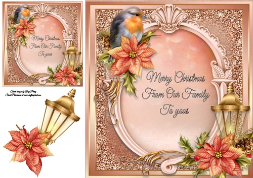 Beautiful Robin With Poinsettas 8x8