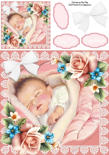 Baby Girl Pink Roses 8x8