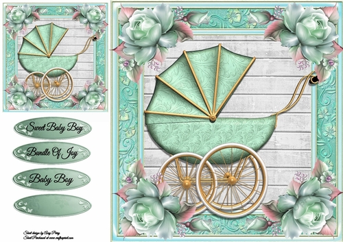 Beautiful Aqua Pram 8x8