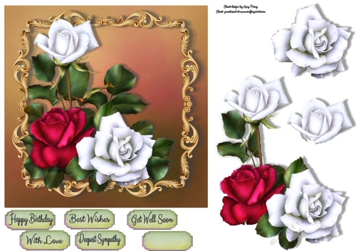 Beautiful white & red roses 7x7
