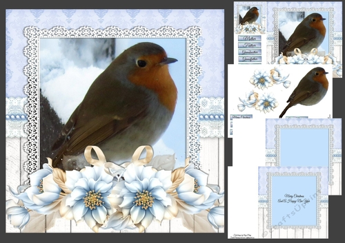 Beautiful Red Breasted Robin 8x8 Mini Kit