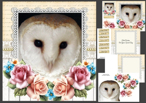 Adorable Barn Owl With Roses 8x8 Mini Kit 