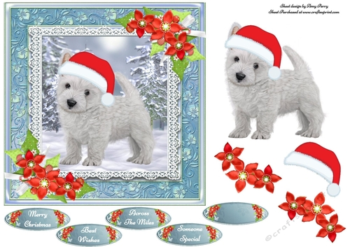 Gorgeous Westie With Santa Hat 7x7