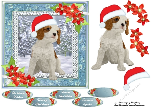 Cute Cavalier With Christmas Flowers 7x7