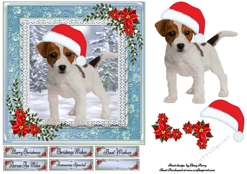 Cute Jack Russel Puppy 7x7
