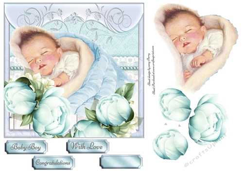 Baby Boy Floral 7x7