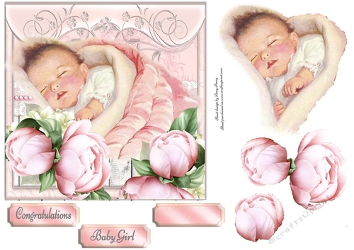 Baby Girl Floral 7x7