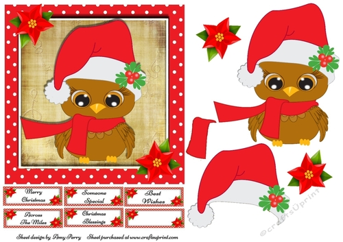 Gorgeous Robin With Santa Hat 7x7