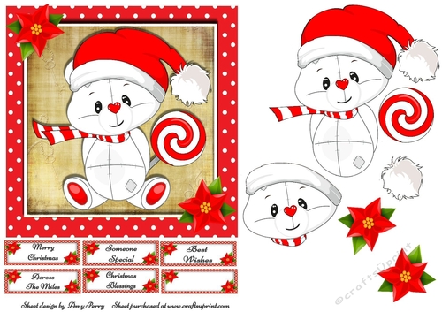 Cute White Teddy With Lolly 7x7