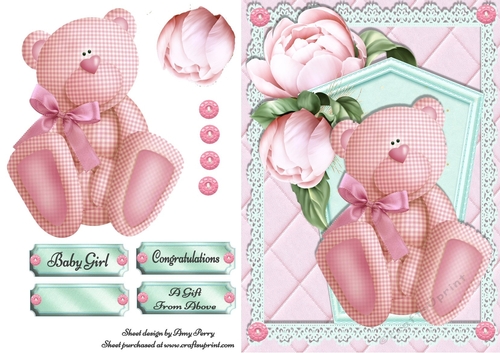 Cute Pink Gingham Bear Baby Girl