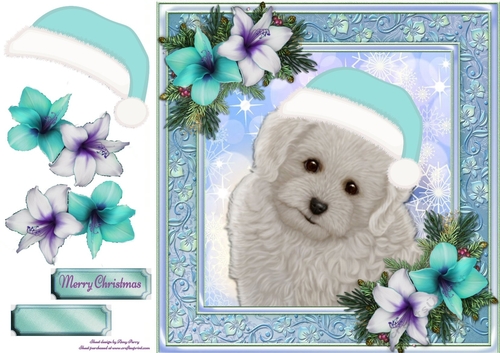 Adorable Bichon Frise With Blue Hat 8x8
