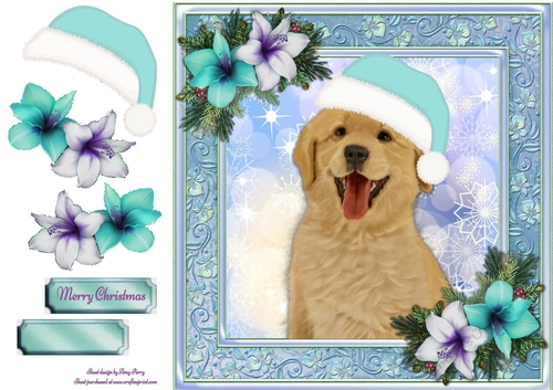 Adorable Golden Retriever With Blue Santa Hat 8x8