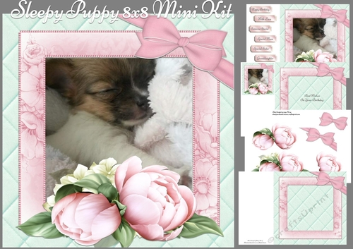 Sleepy Puppy 8x8 Mini Kit