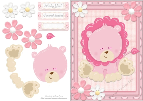 Gorgeous Pink Lion