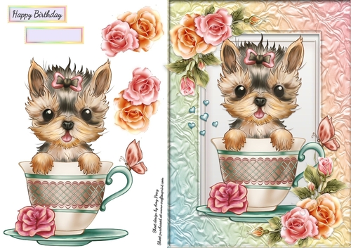 Gorgeous Yorkshire Terrier In A Cup