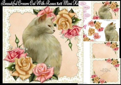 Beautiful Cream Cat With Roses 8x8 Mini Kit