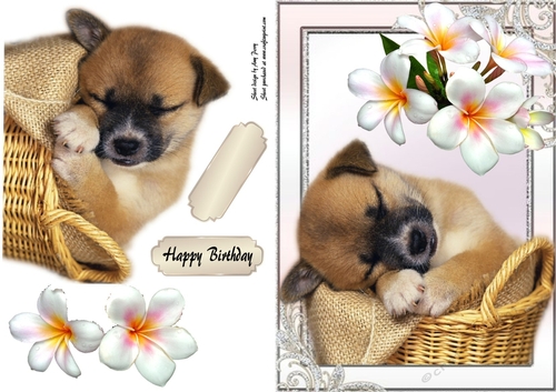 Adorable puppy sleeping in his basket