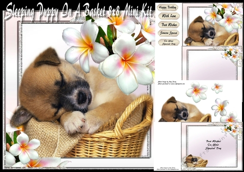 Sleeping Puppy In A Basket 8x8 Mini Kit