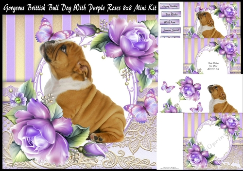Gorgeous British Bull Dog With Purple Roses 8x8 Mini Kit