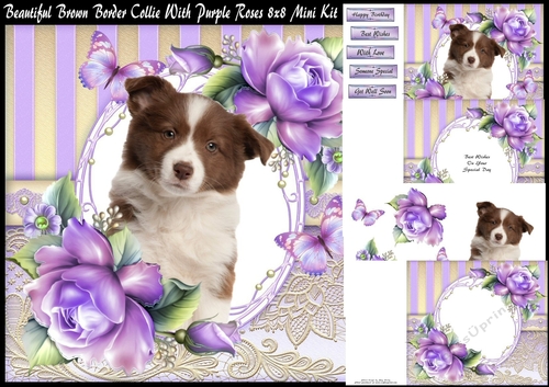 Beautiful Brown Border Collie With Purple Roses 8x8 Mini Kit