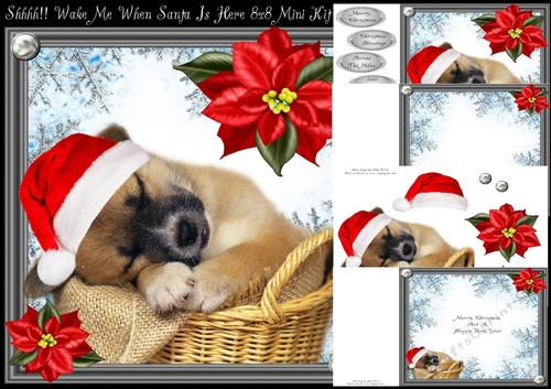 Sssshhh!! Wake Me When Santa Is Here 8x8 Mini Kit