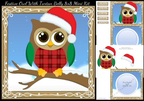 Festive Owl With Tartan Belly 8x8 Mini Kit