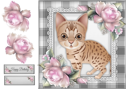 Gorgeous Ginger Spotty Cat With Pink Roses 8x8