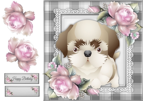 Adorable Shitzu Puppy 8x8