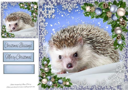 Adorable Hedgehog In The Snow 8x8