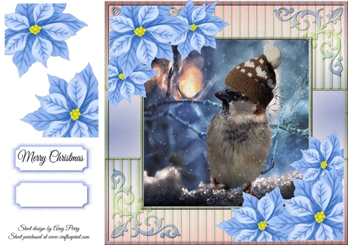 Beautiful Little Bird With Hat 8x8