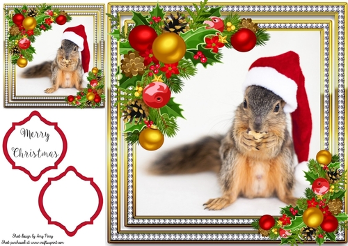 Gorgeous Squirrel In Santa Hat 8x8