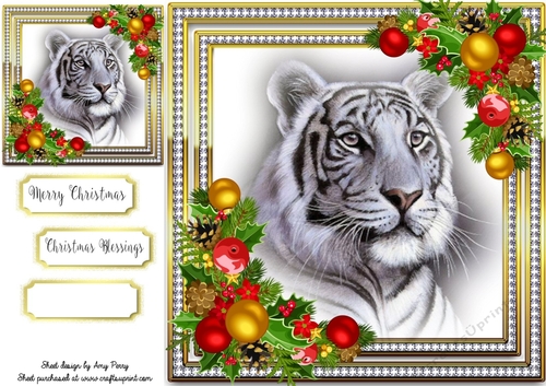 Beautiful White Tiger 8x8