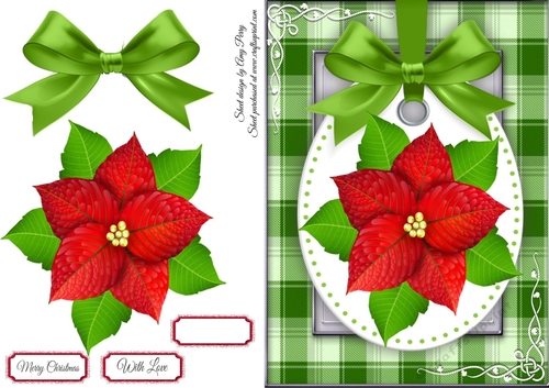 Beautiful Poinsettia 