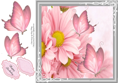Beautiful Pink Flowers 8x8