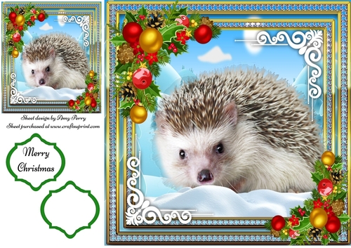 Beautiful Hedgehog in the snow 8x8
