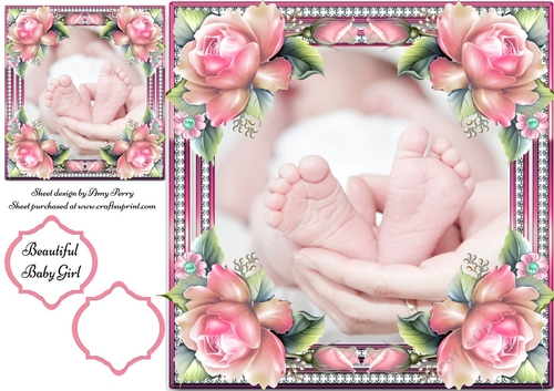 Adorable Baby Girl Toes 8x8