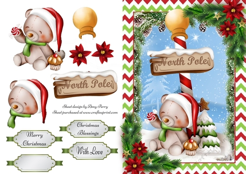 Cute Teddy Bear With North Pole Sign