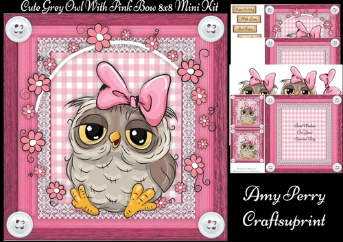 Cute Grey Owl With Pink Bow 8x8 Mini Kit