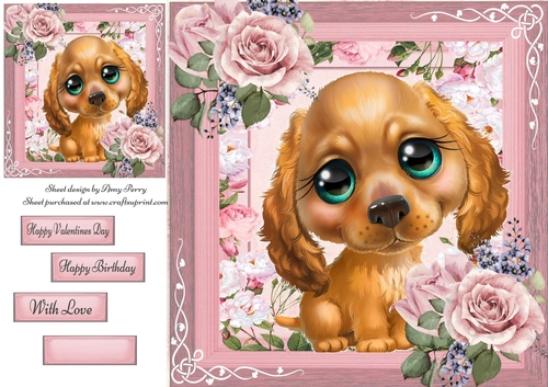Beautiful Blue Eyed Cocker Spaniel Puppy 8x8