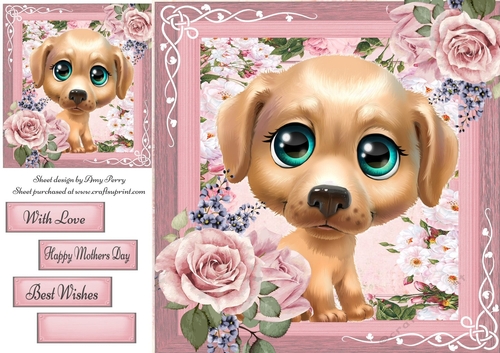 Beautiful Blue Eyed Brown Puppy 8x8