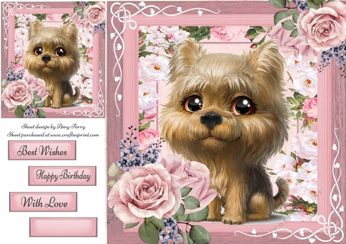 Beautiful Brown Eyed Yorkshire Terrier  Puppy 8x8
