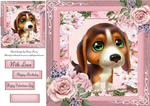 Beautiful Green Eyed Jack Russel Puppy 8x8
