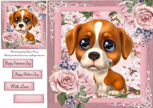 Beautiful Blue Eyed, Brown & White Puppy 8x8