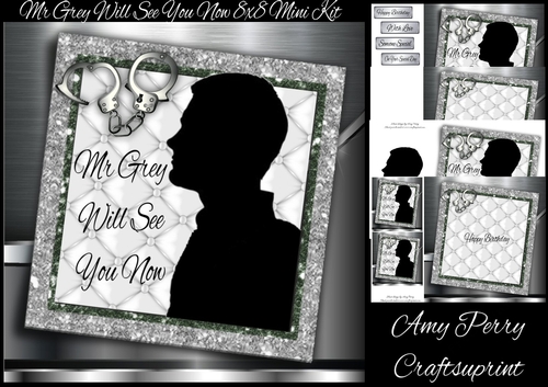 Mr Grey Will See You Now 8x8 Mini Kit