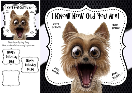 I Know How Old You Are! 8x8