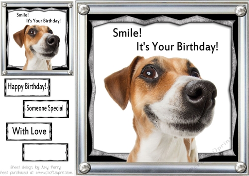 Smile! Its Your Birthday 8x8