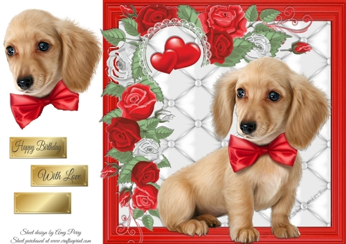 Gorgeous Fluffy Dog 8x8
