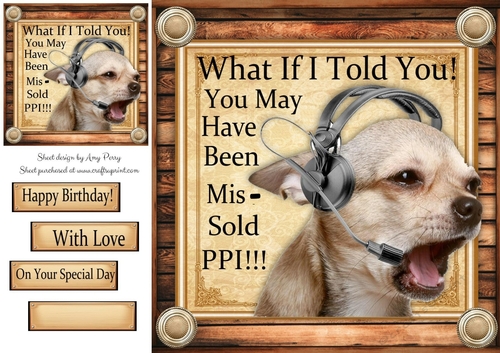 PPI Chihuhua Humor 8x8