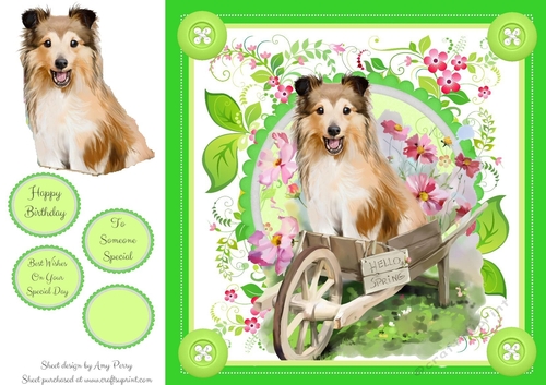 Adorable Dog In A Wheel Barrow 8x8