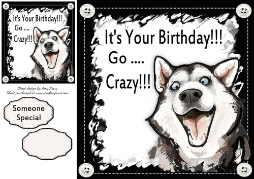 Its Your Birthday! Husky! 8x8